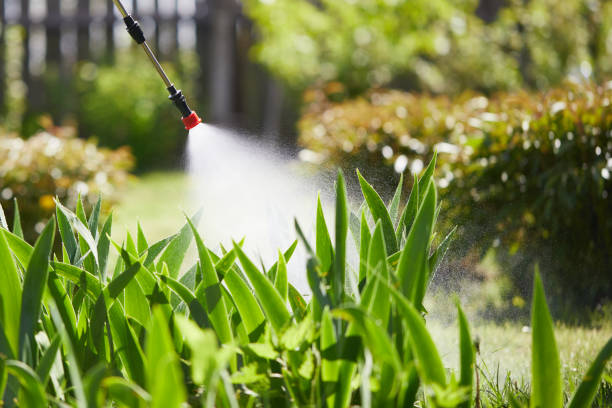 24/7 Emergency Mosquito Control experts in Crystal River, FL