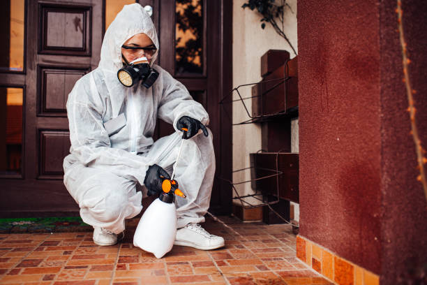 Reliable Mosquito Control contractor in Crystal River, FL by Show Me Pest Control