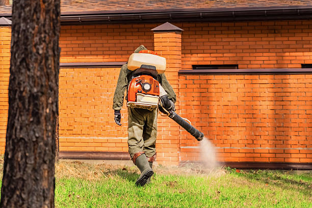 Top rated local Mosquito Control specialists in Crystal River, FL